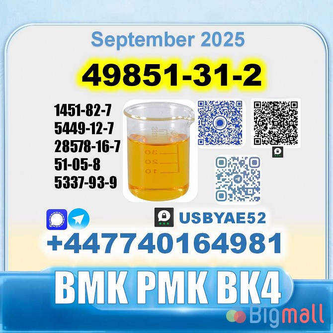 49851-31-2 2-Bromo-1-Phenyl-Pentan-1-One 2b4m PMK Source factory - სურათი 1