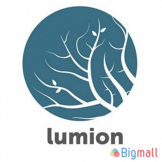 Lumion Pro - ის დაყენება - სურათი 1