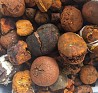 Buy cow /Ox Gallstone Available On Stock Now