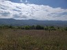 იყიდება მიწის ნაკვეთი საგურამოსთან
