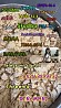 5cladba raw material 5CL-ADB-A precursor raw 5cladba 5f adb 4fadb
