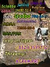 5CL-ADB supplier 5cladba 5cladb vendor on sale now