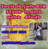 5cladba 5cladbb 5fdab protonitazene Bromazlam Eueutylone/molly pmk BDO