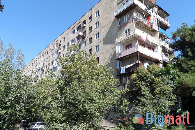 იყიდება - სურათი 1