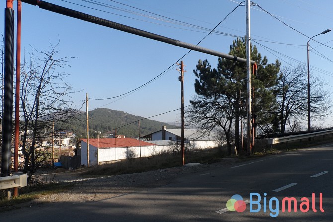 იყიდება - სურათი 1