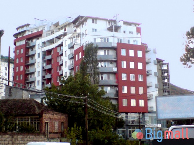 იყიდება ბაგების შესასვლელში არსის კორპუსში 5(11) 2 ოთ. 42 კვ.მ. - სურათი 1