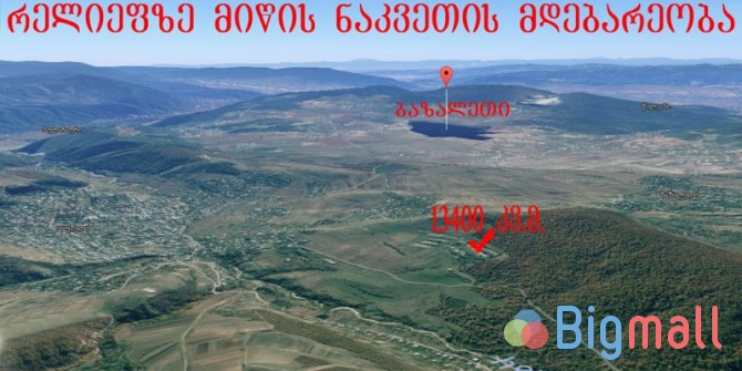 იყიდება დუშეთის რაიონში ბაზალეთზე სოფელი მილახვრიანთკარში 20000 კვ.მ. - სურათი 1